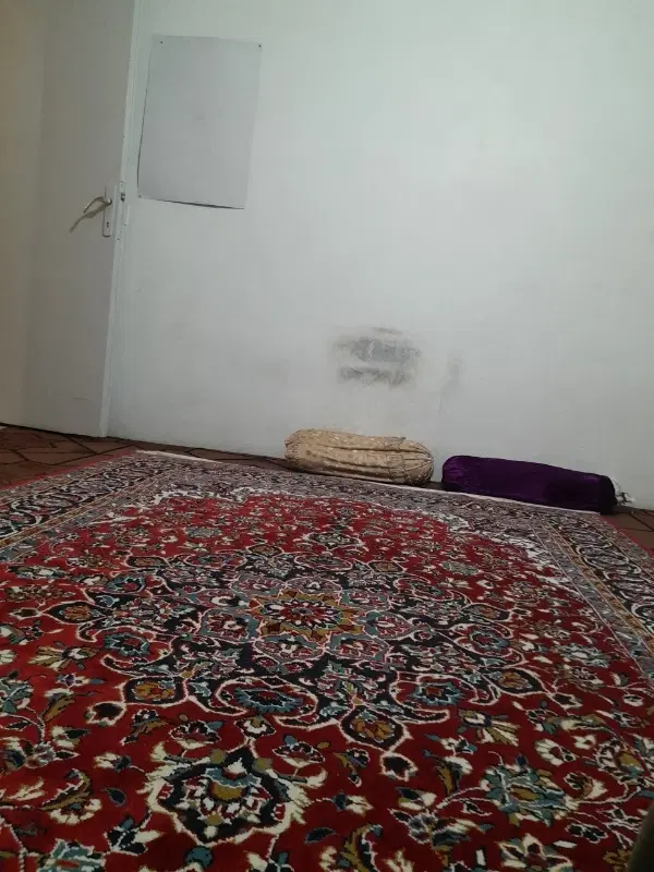 هم اتاقی اقا می خواهیم