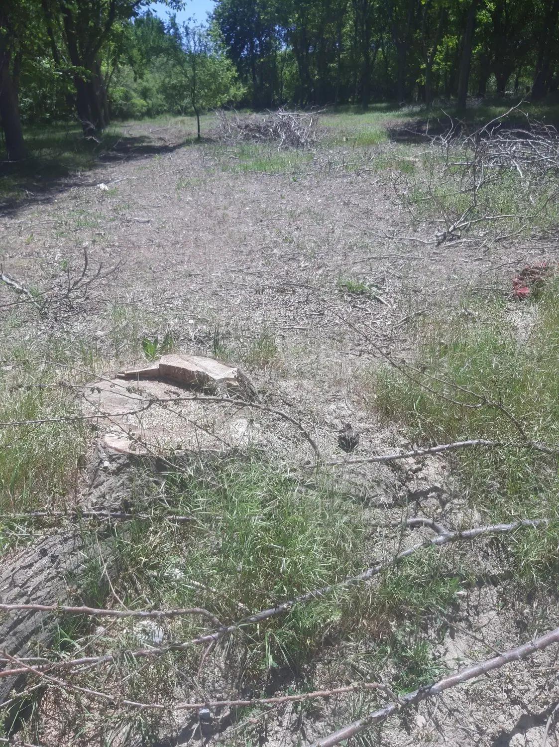 یک قطعه زمین مسکونی واقعه در روستای گردچم