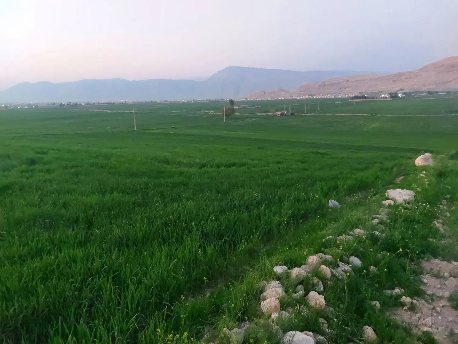 فروش ۵هزار متر زمین کشاورزی در محدوده شهر
