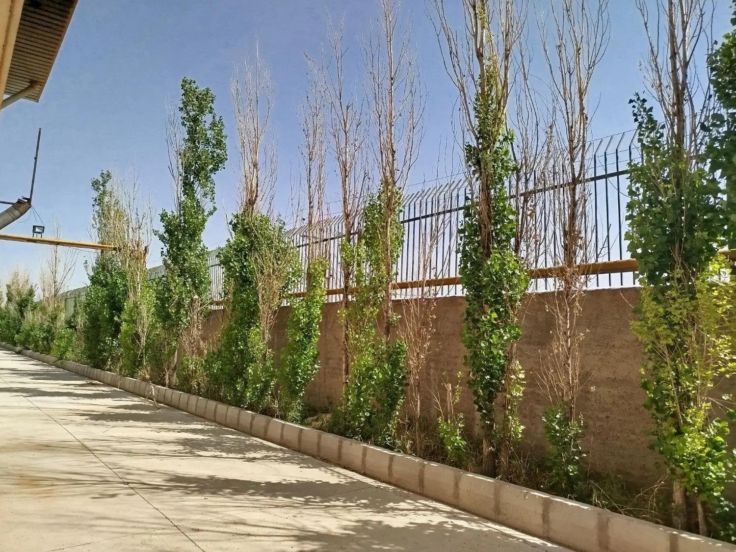 فروش زمین ۶۰۰۰ متری در تهران شمیران نو