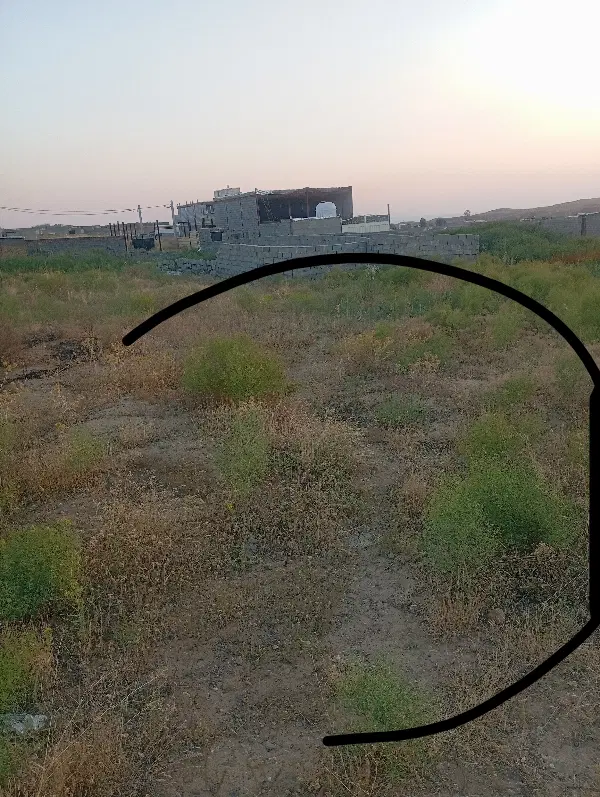زمین در اوغلی