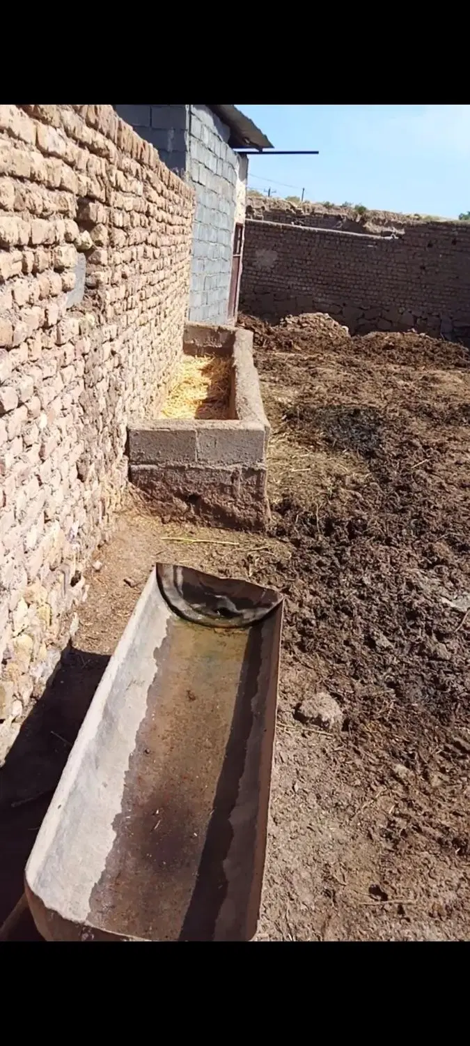 ۵۰۰متر خانه وسالن واسه زندگی و دامداری و