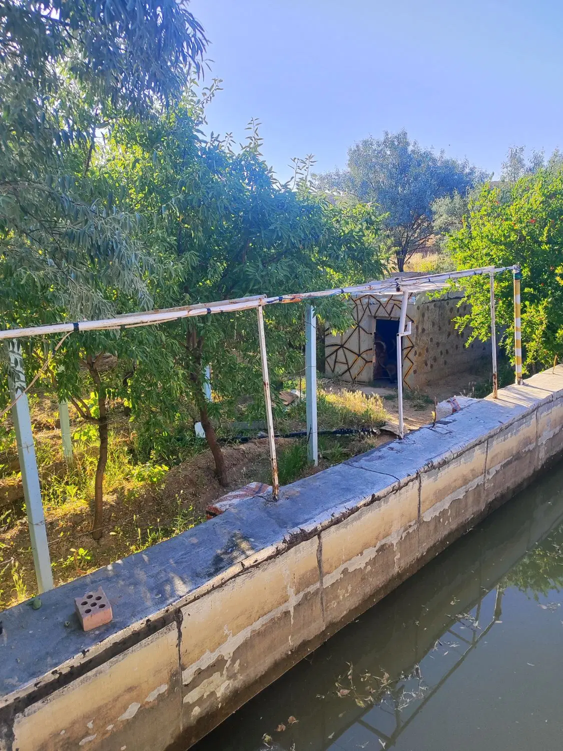 فروش باغ