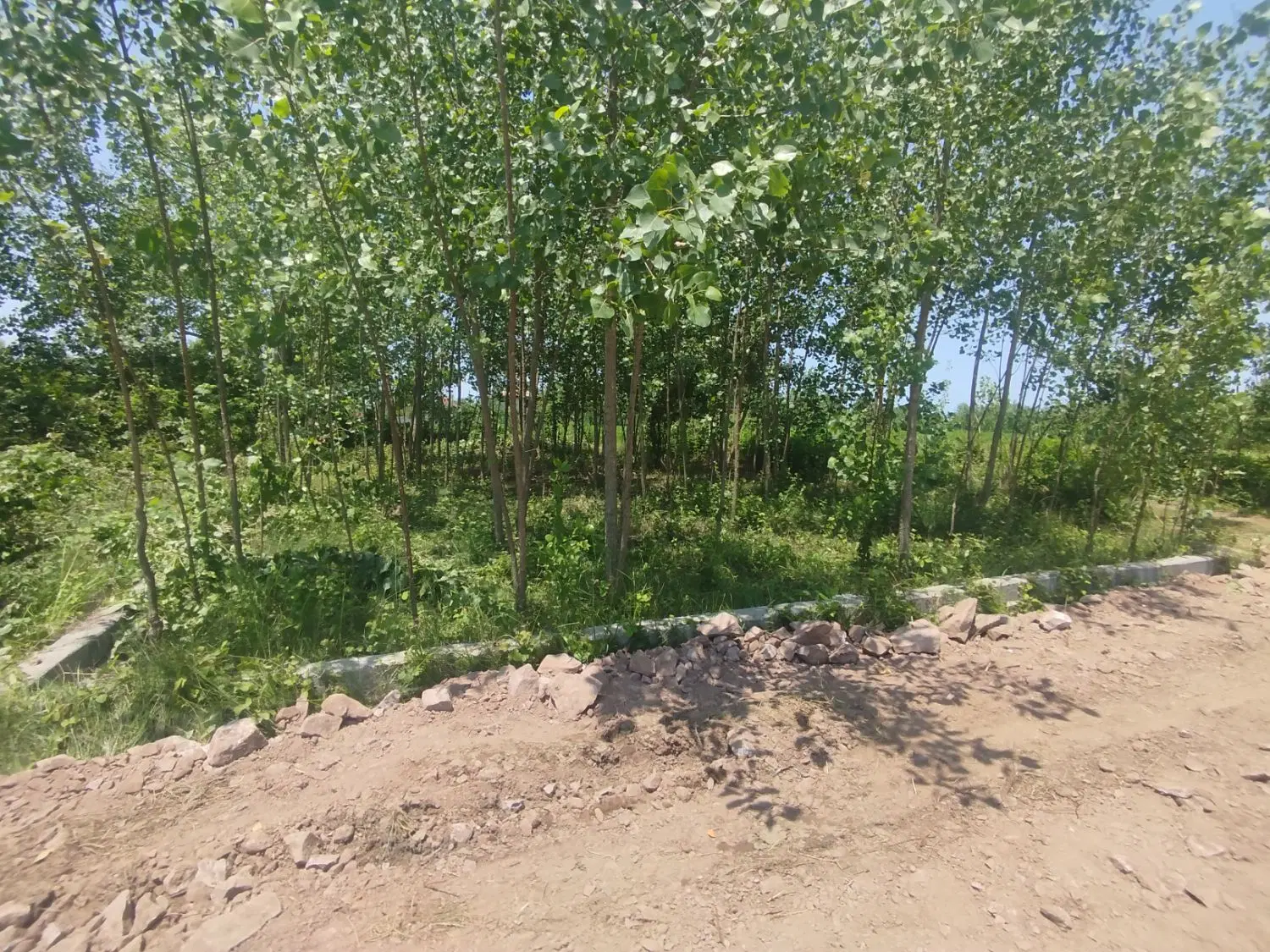 فروش زمین،داخل طرح هادی،جاده کیاشهر،تمچال،اقساطی