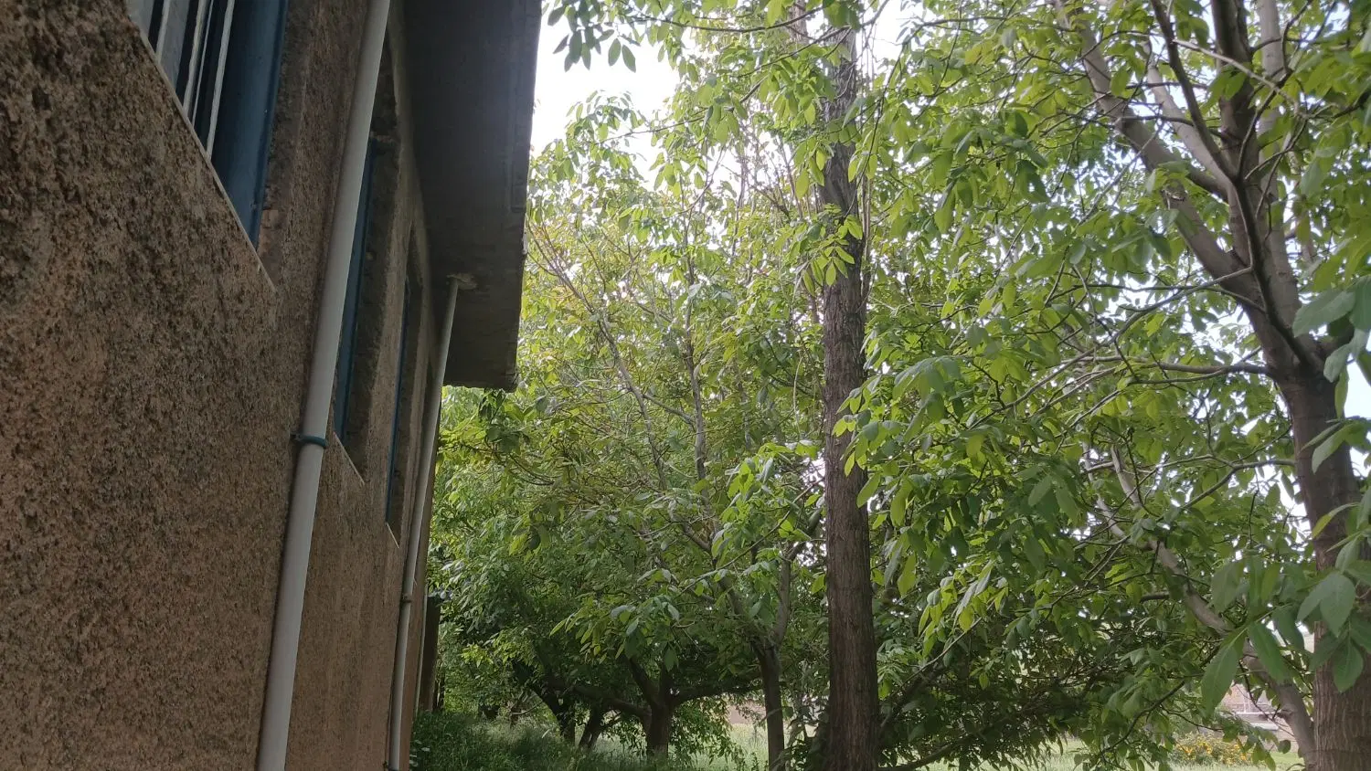 خانه روستا در کامیاران