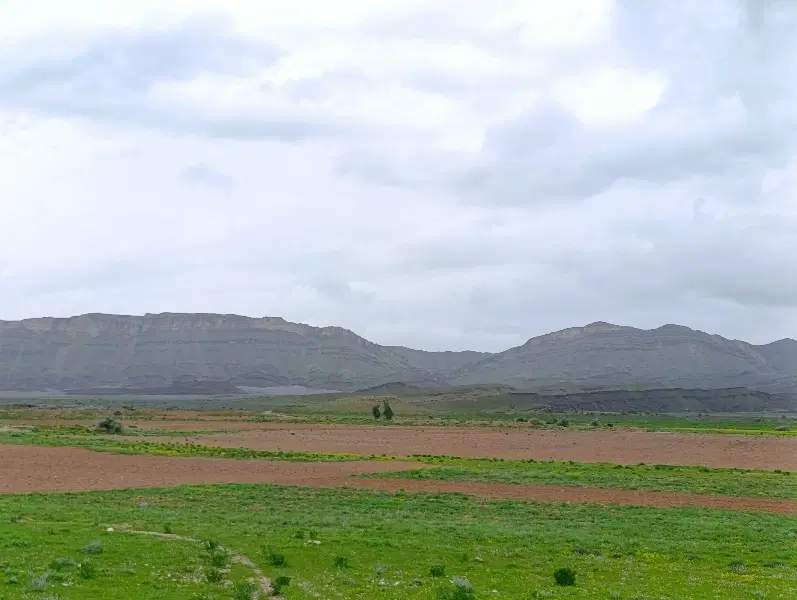 زمین مسکونی ۳۰۰ متری