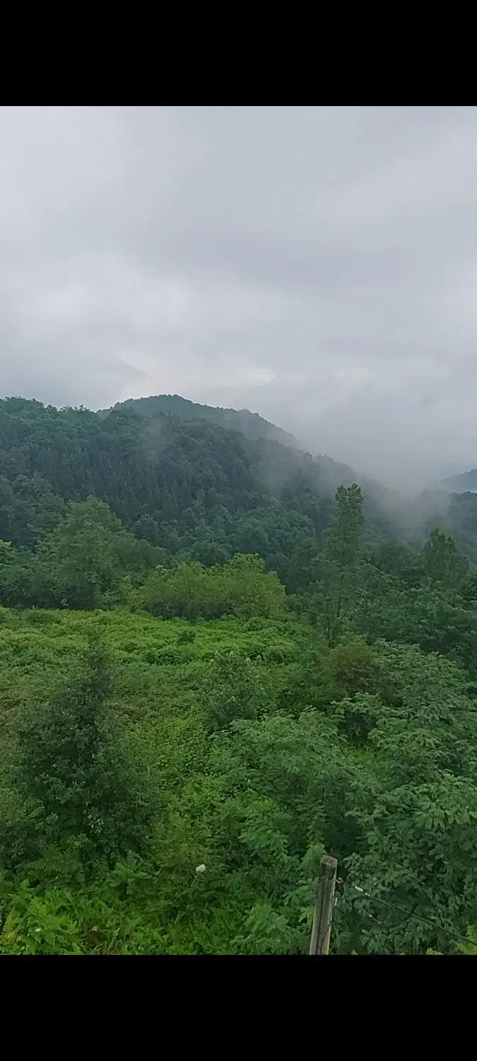 زمین مسکونی دو بحر سند تک برگ