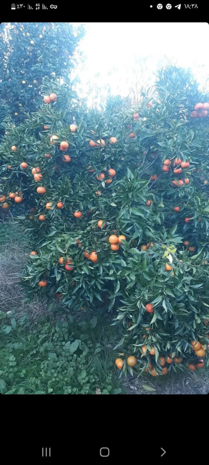 زمین بافت مسکونی