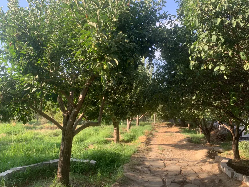 ۳۰۰۰ متر باغ میوه با خانه باغ