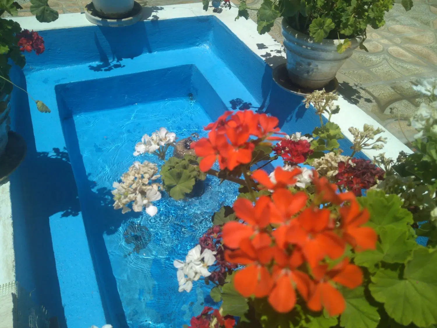 اجاره خانه