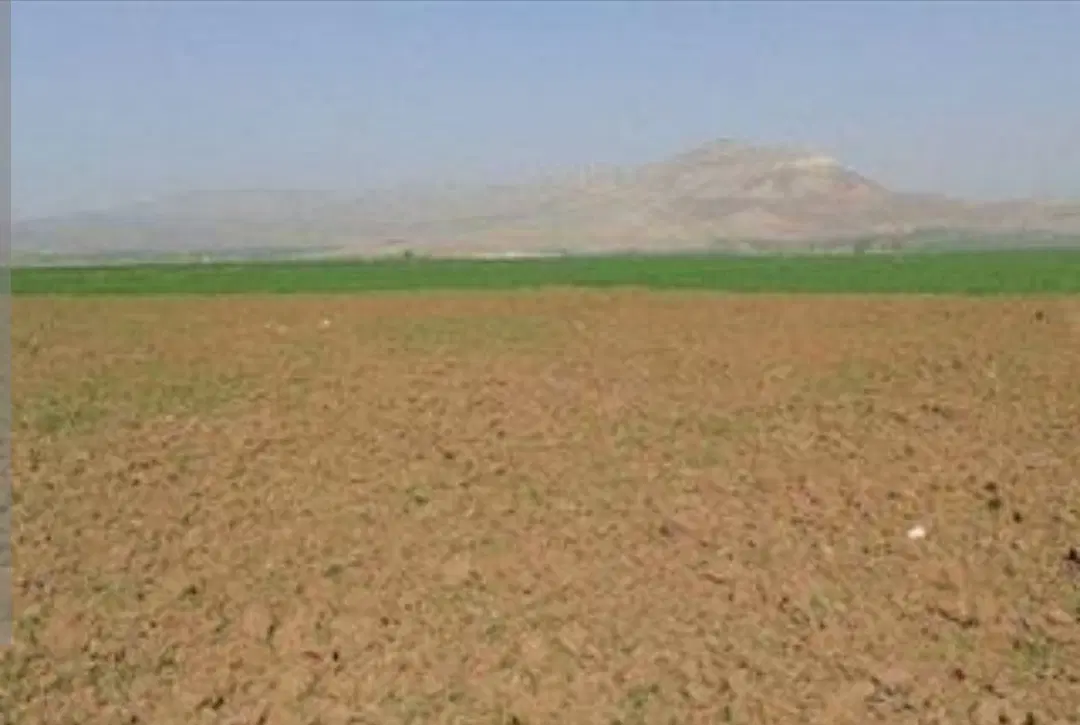 زمین زراعی در قره تپه و زاویه شیخلر