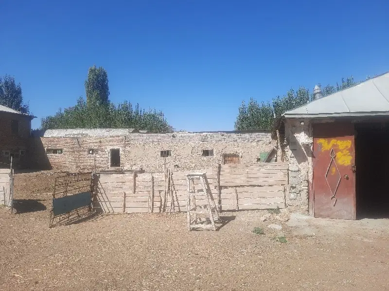 دامداری