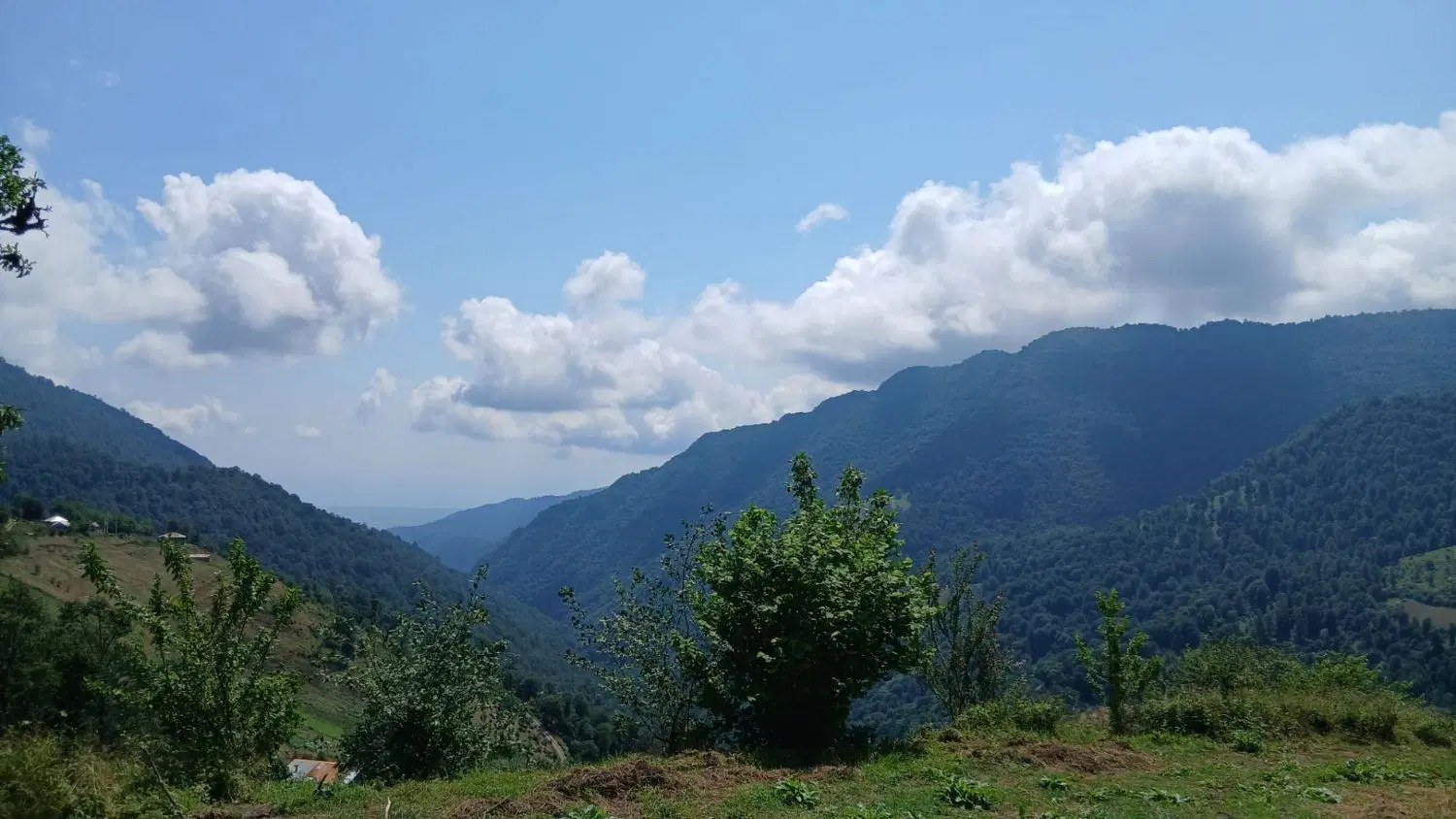 زمین روستایی(ییلاق ایربو ومثلان کوه)
