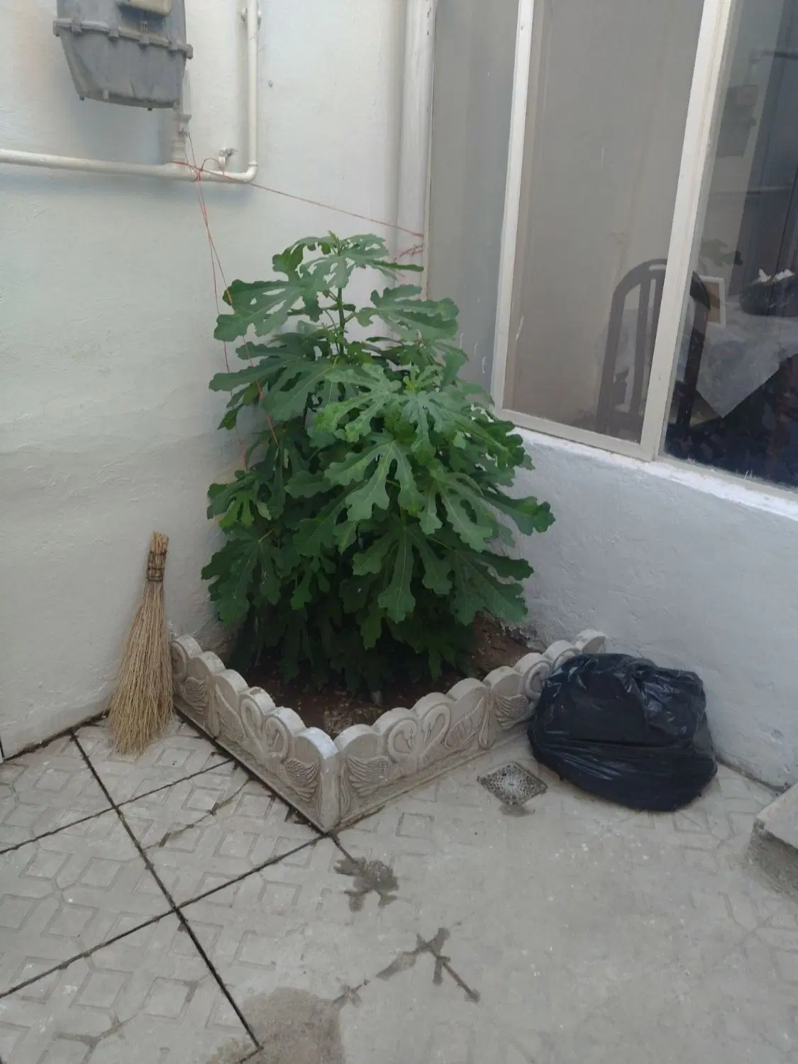 حیاط مسکونی * ۵۲ متر *  دو طبقه