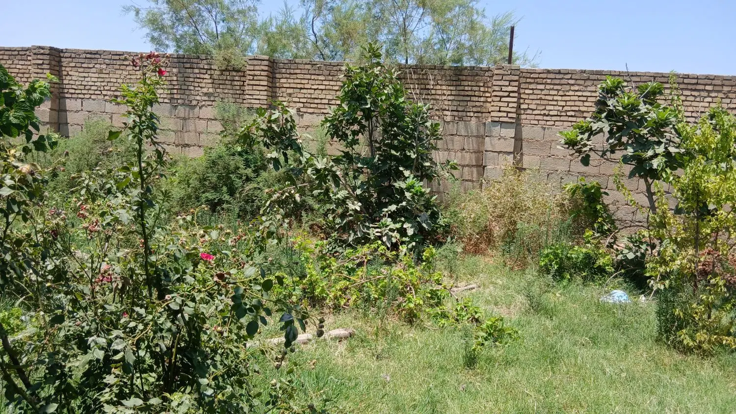 کارگاه ۲۱۰۰متر مربع