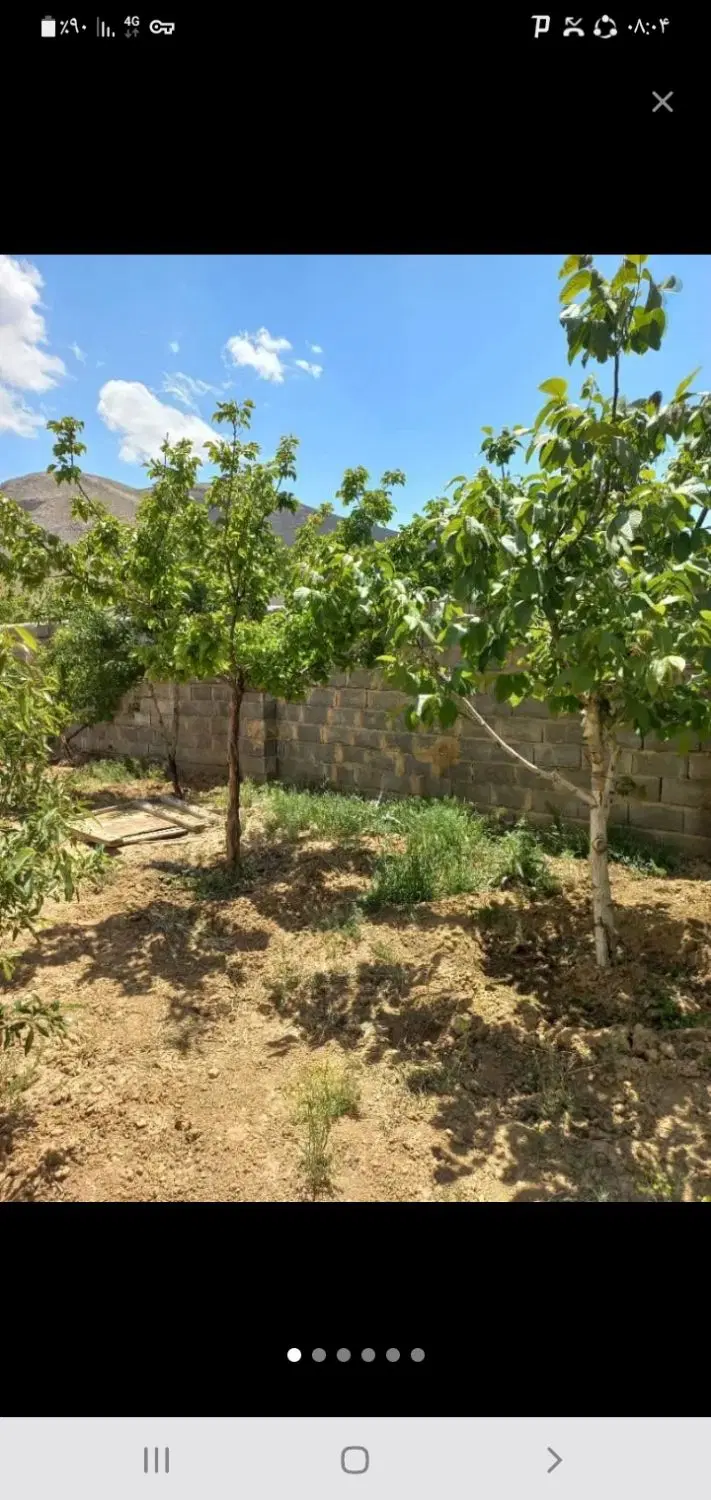 فروش باغ سیاسرد