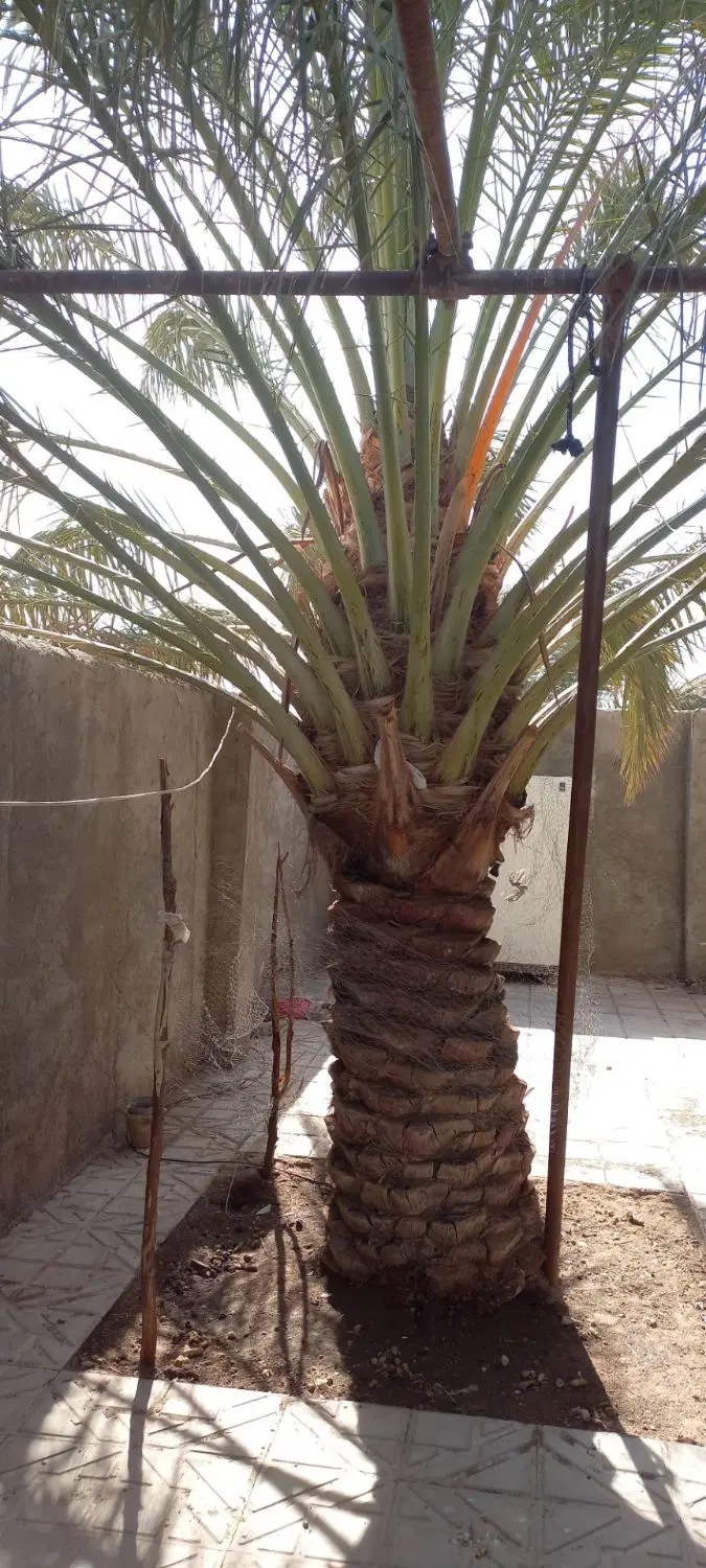 برای فروش خانه