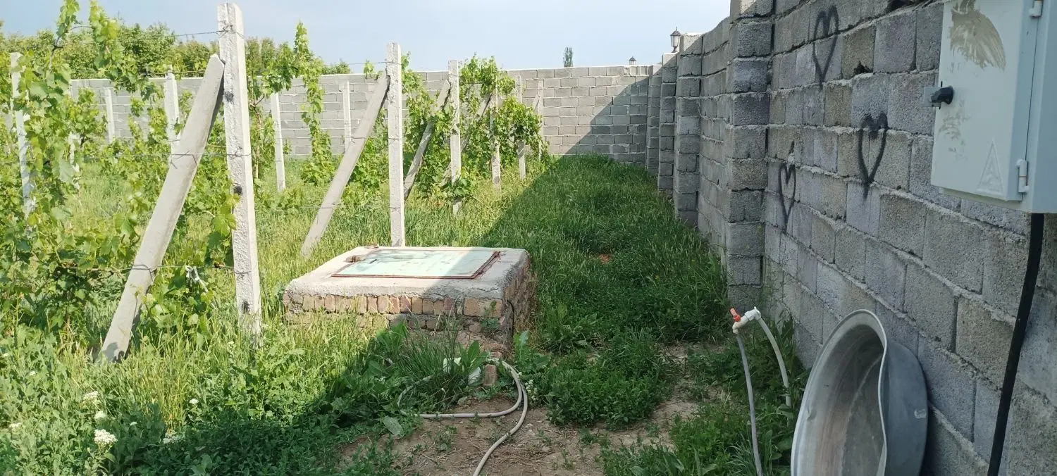 باغ ایستاده