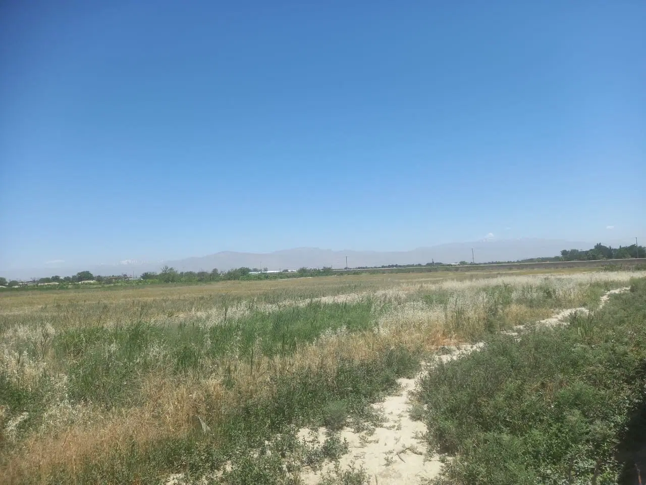 قبول سفارش ملک بزرگ