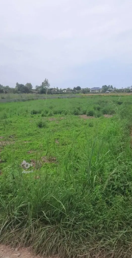 زمین گلخانه
