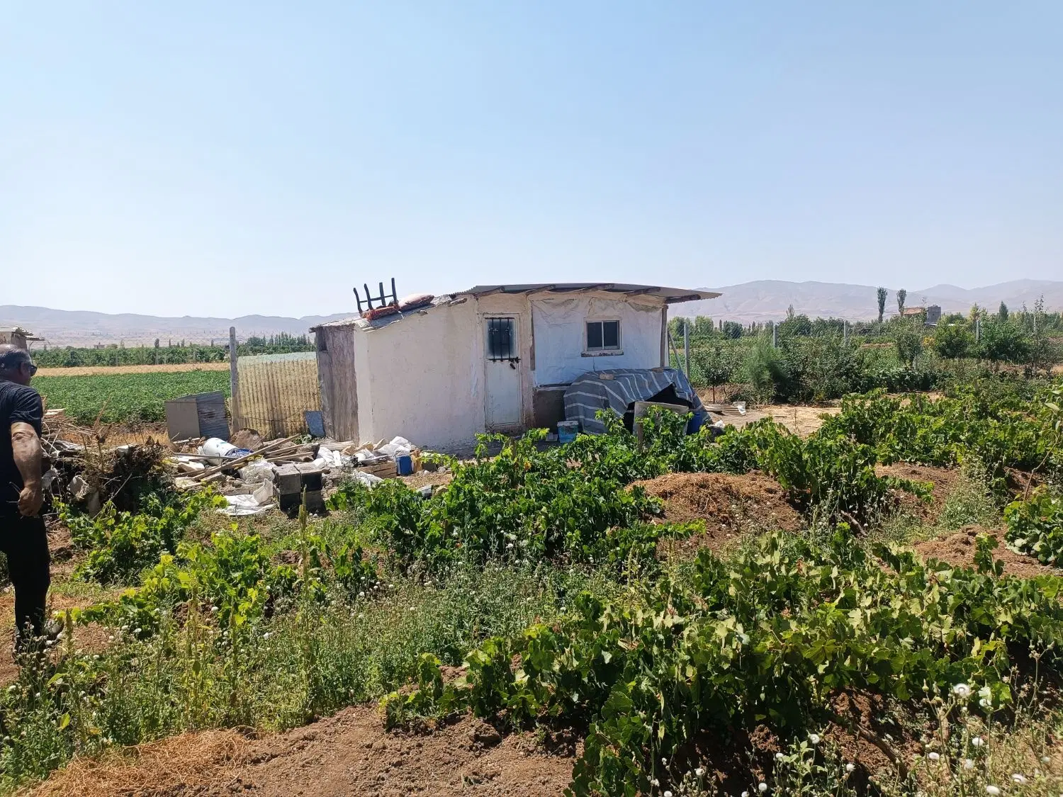 فروش باغ در داسداران
