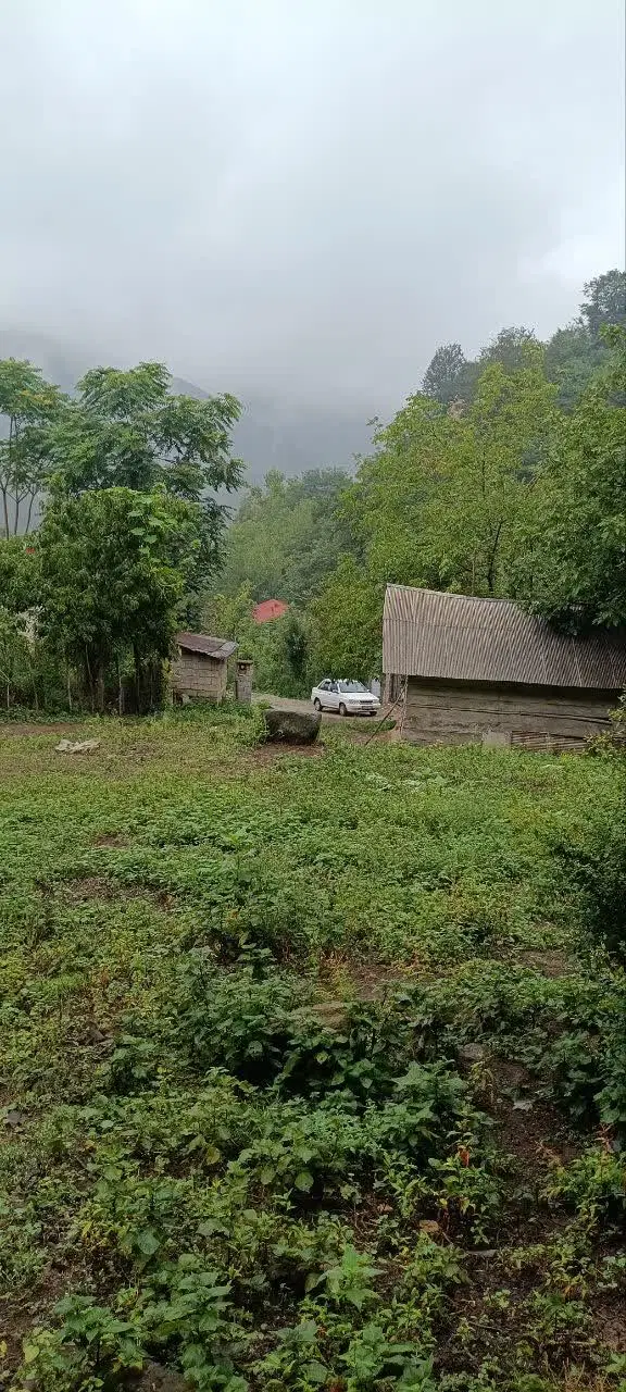 ۲۰۰متر زمین مسکونی واقع جاده سیاهکل دیلمان