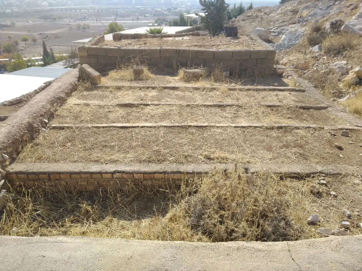 زمین قبر بهشت ۱۱