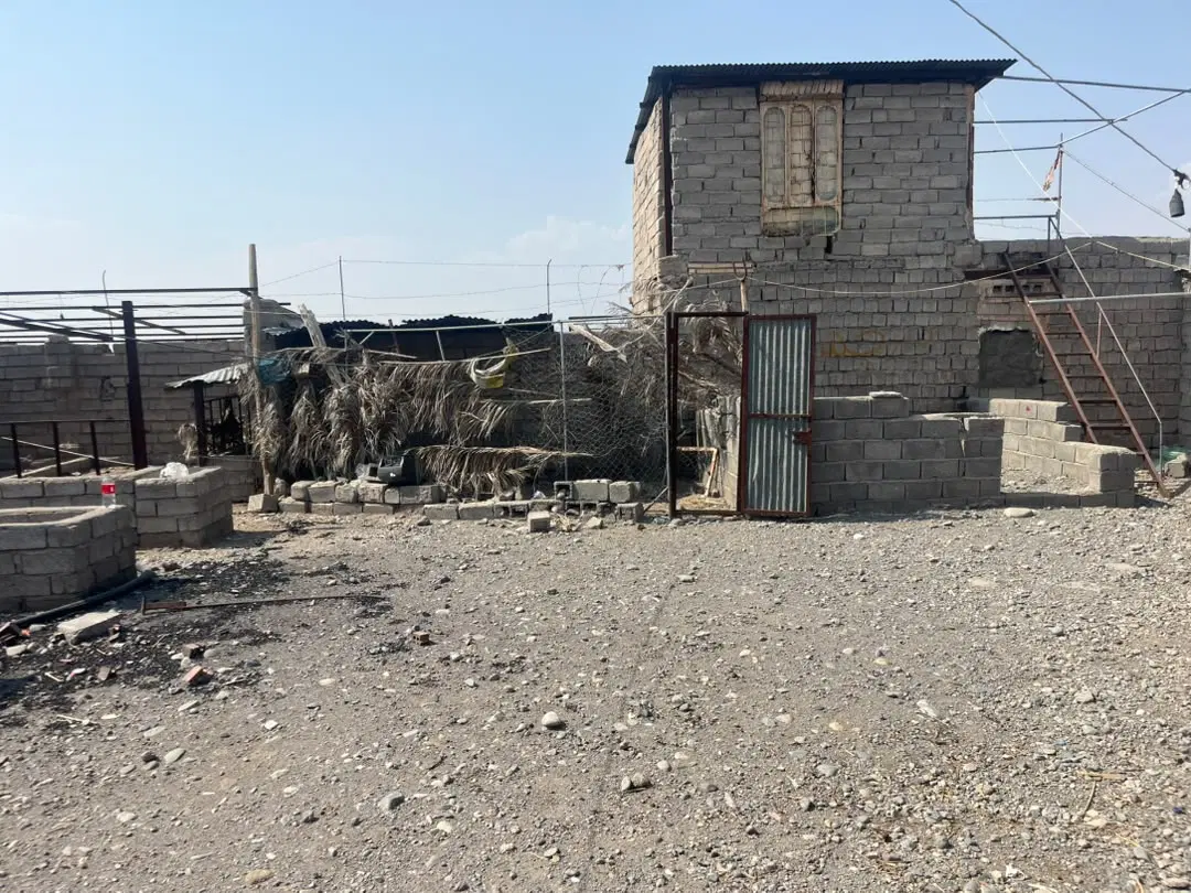 اجاره دامداری