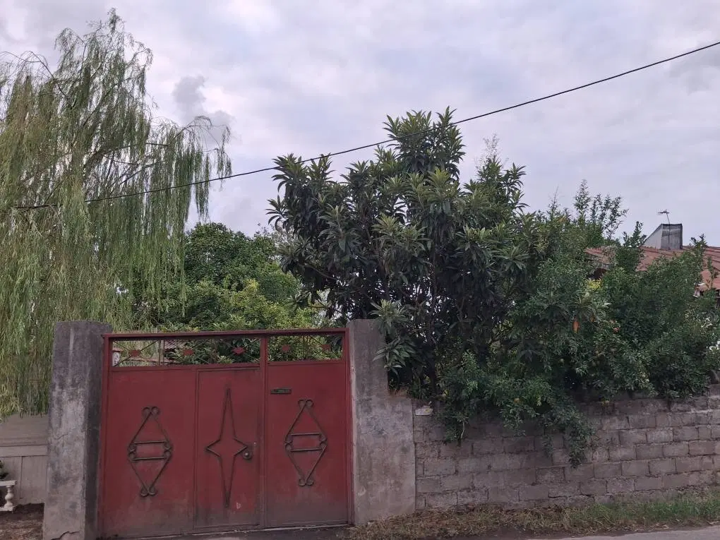 ۳۰۰مترزمین مسکونی ۱۵۰۰متری ساحل باغ محله