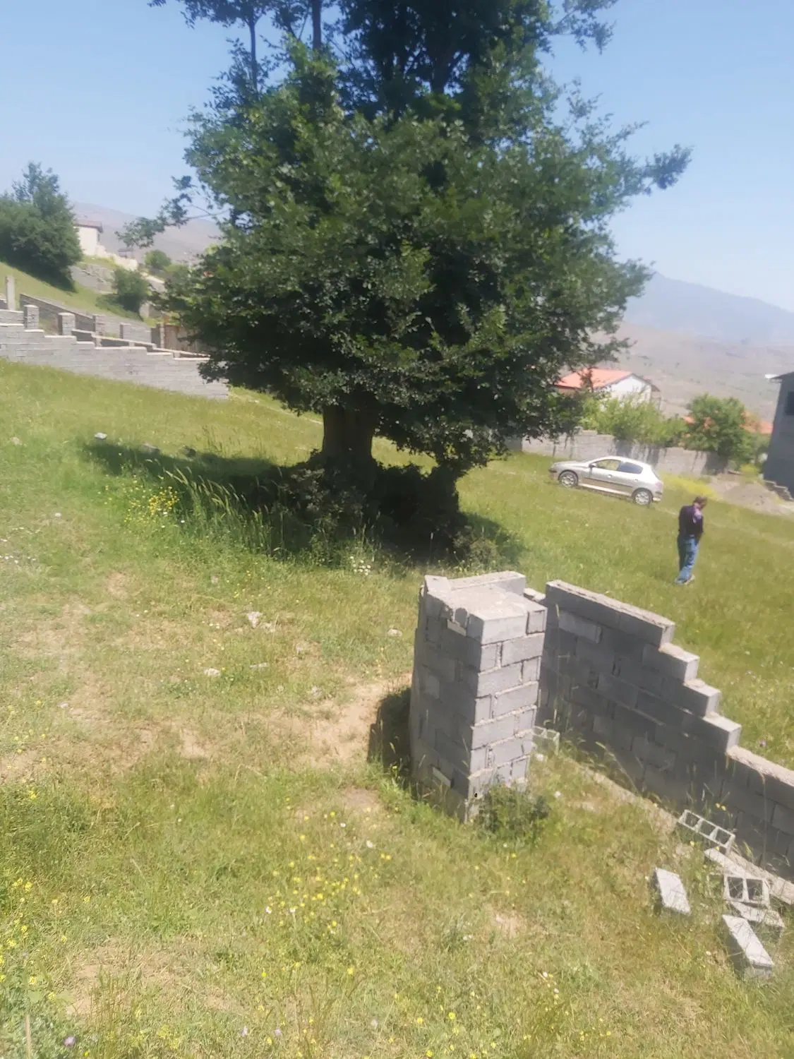 سه قطعه زمین در جاده چالوس  مرزن اباد روستای گویتر