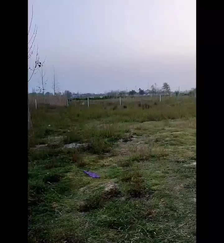 زمین باغی شفت روستای برزوهندان