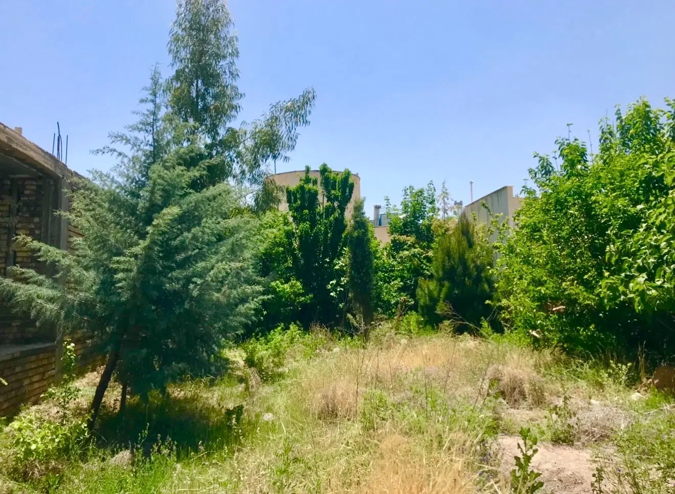 فروش باغچه گود گویم