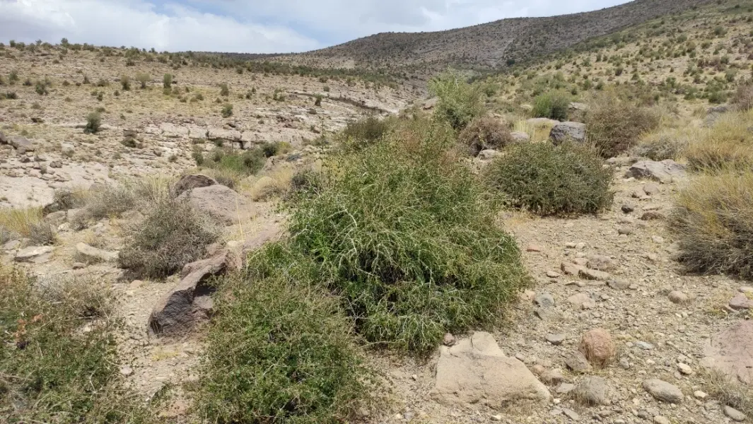 فروش زمین و باغ با آب قنات روستای زمزرج