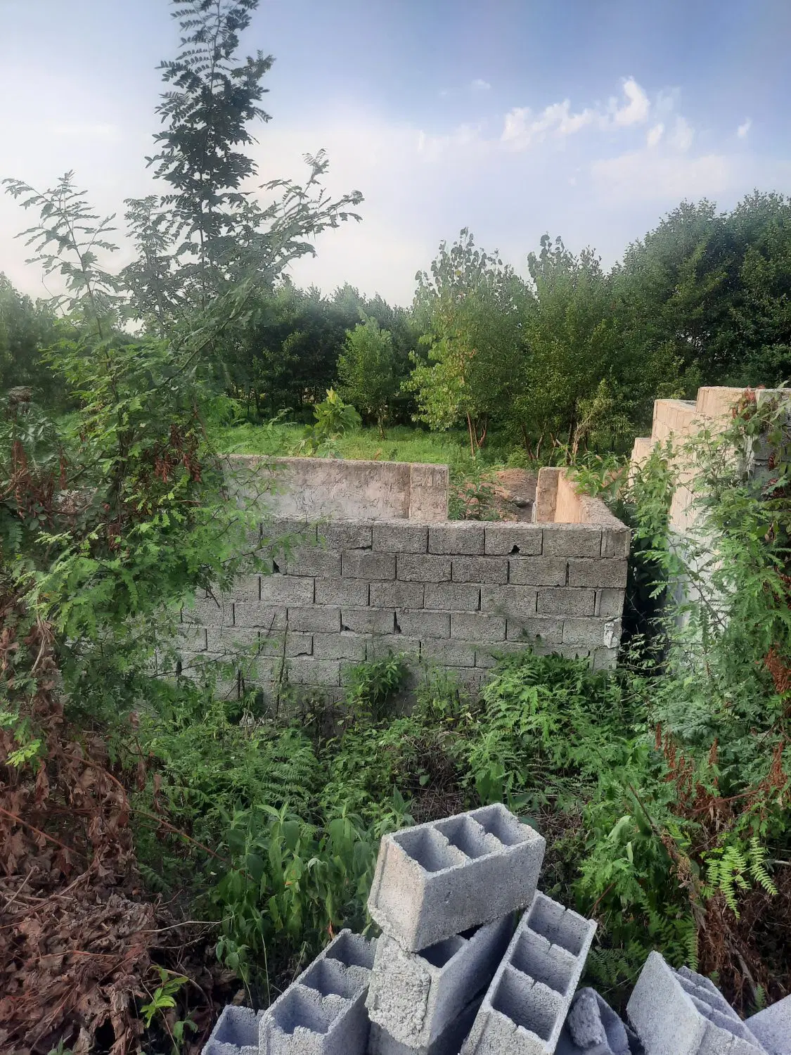 فروش زمین مسکونی کوهپایه ای سند دار