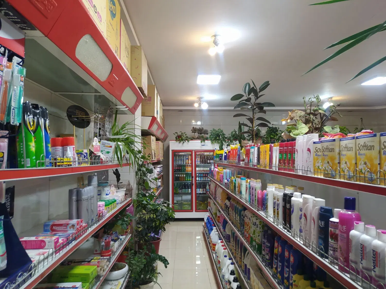 مغازه