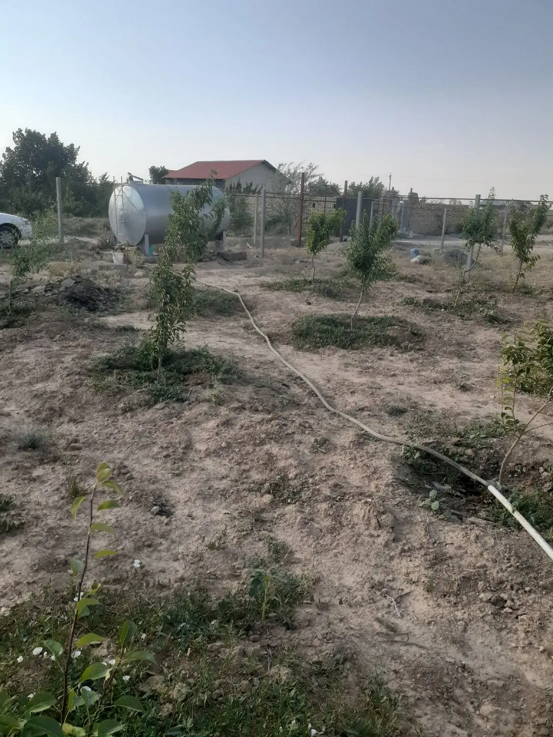 باغ فروشی گاوخونه زیر کمربندی