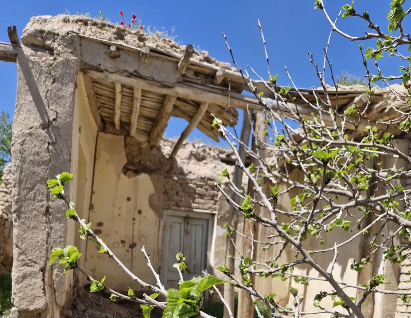 زمین مسکونی دارای پروانه ساخت ،یک طبقه روی پیلوت