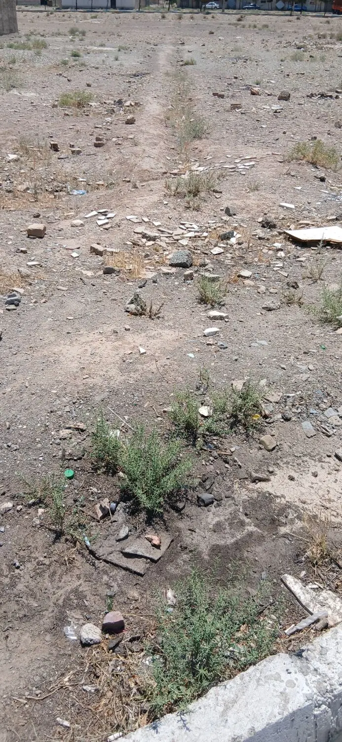 زمین فروشی