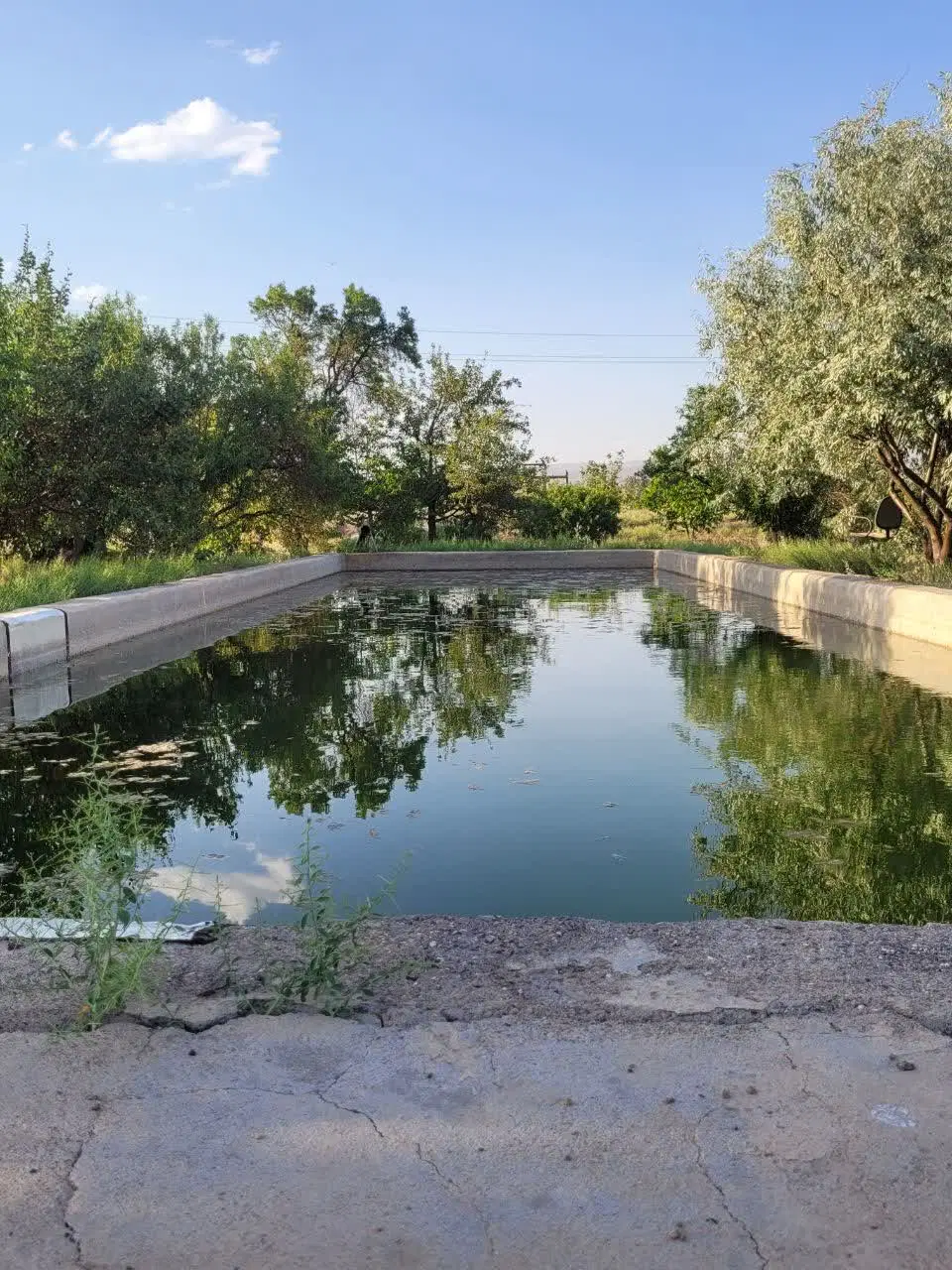باغ