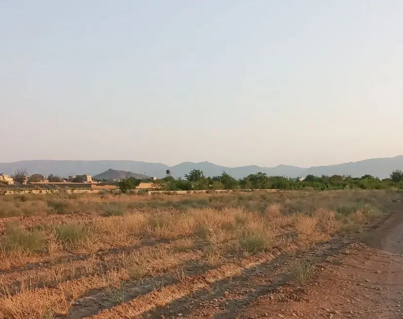 زمین کشاورزی