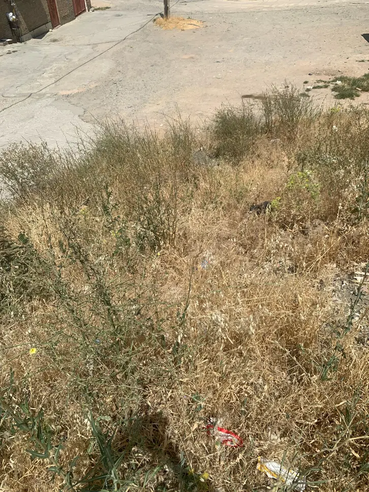 زمین غیر محدوده میراوا