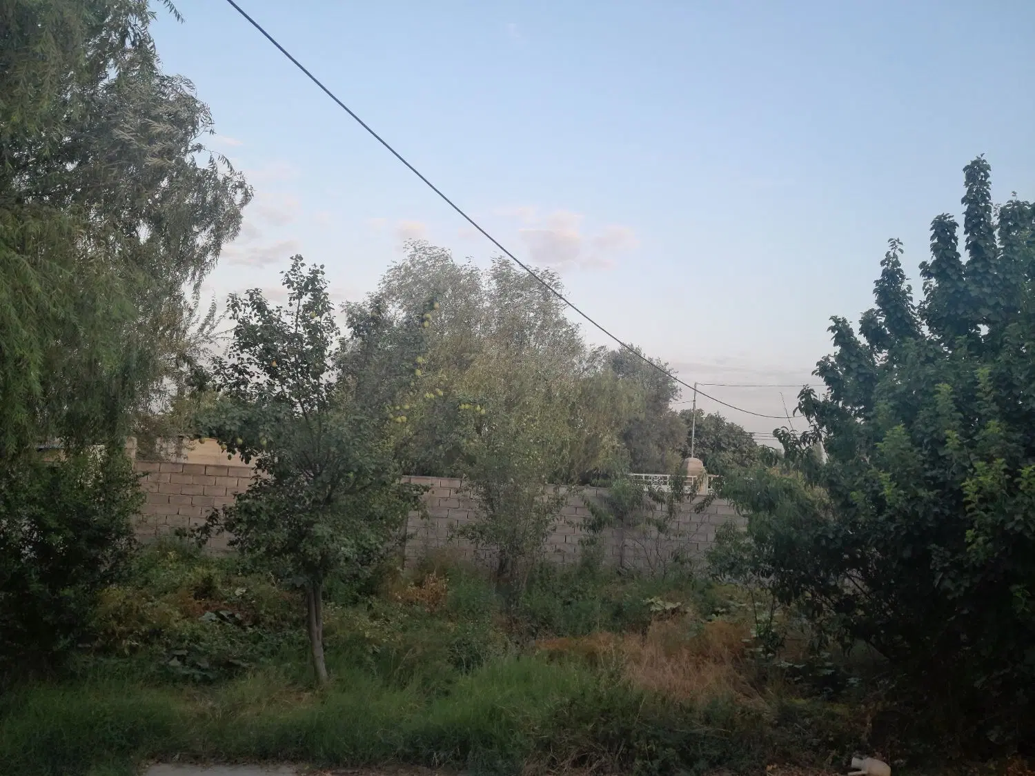 زمین فروشی ۲۶۰متر