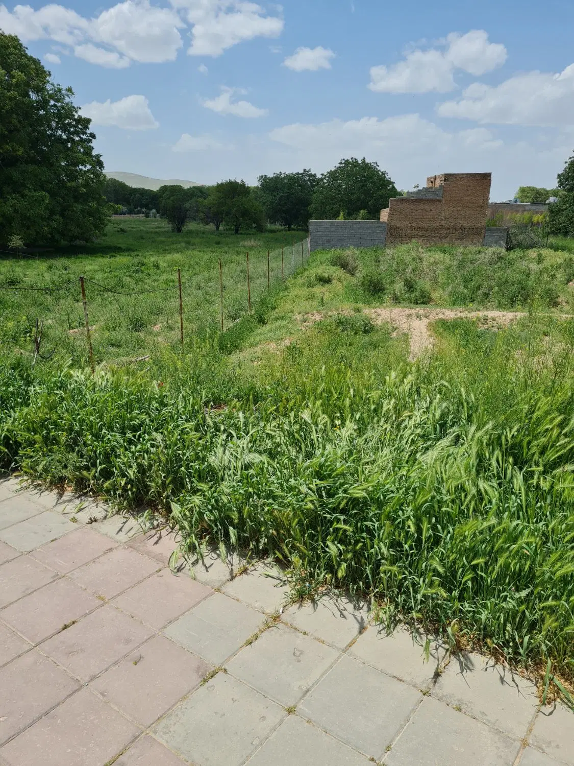 زمین مسکونی واقع در محدوده شهر