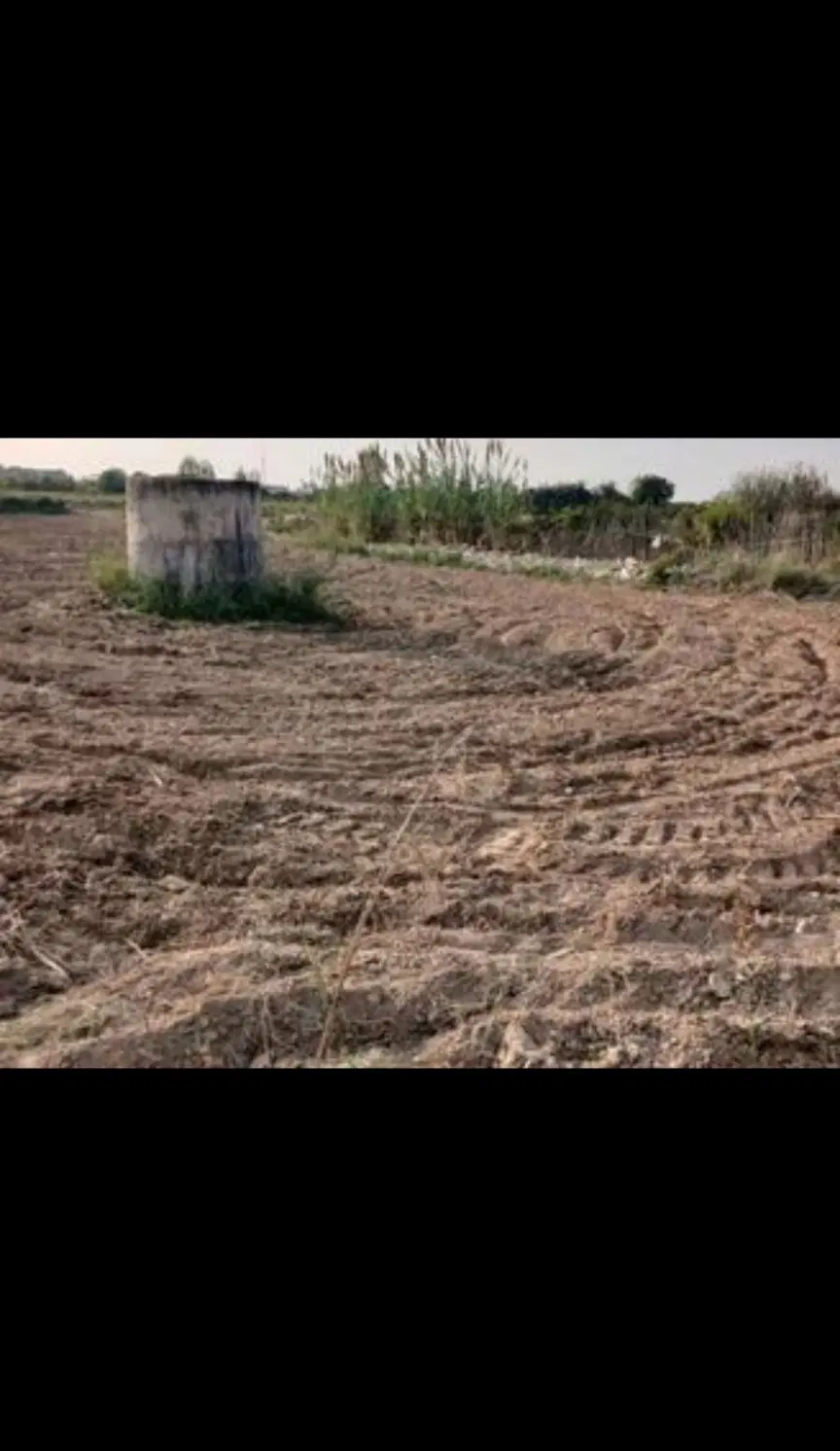 ۲۵۰متر زمین مسکونی در اردبیل