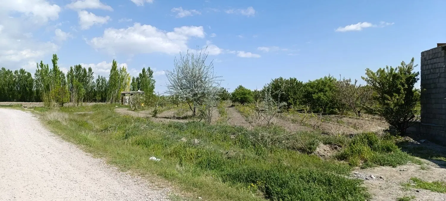 زمین7500متری مناسب باغچه وگلخانه تومتر
