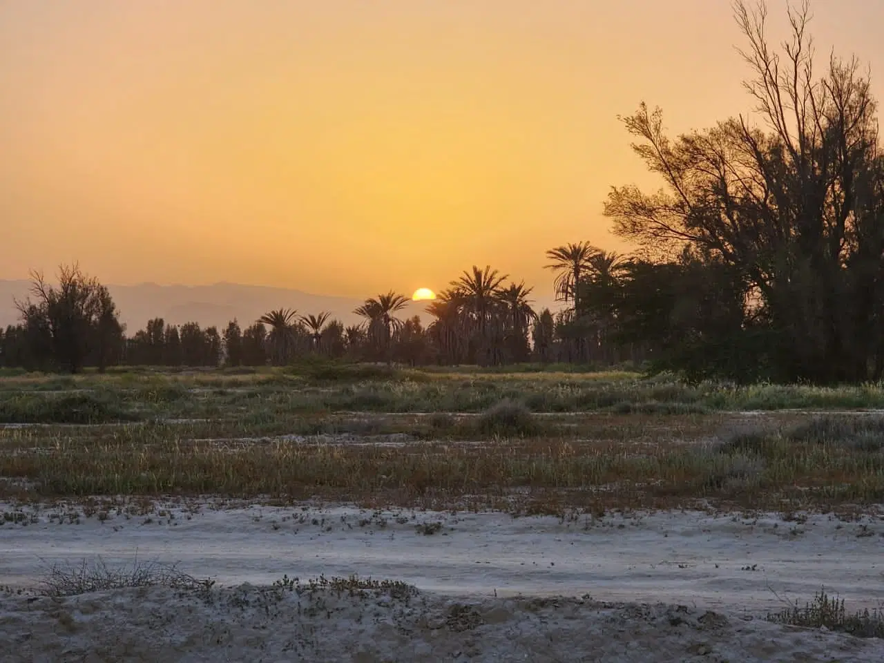 زمین باغی در مجاورت محدوده مرکزی لامرد