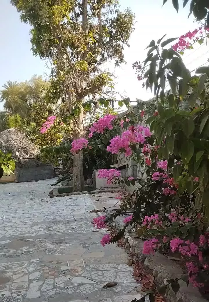 اجاره استخر و خونه باغ دلفین