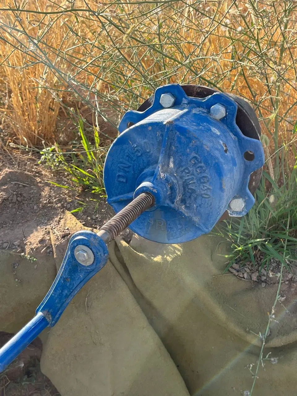 زمین کشاورزی