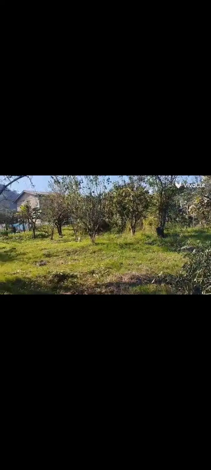 زمین مسکونی ۵۹۱ متر واقع در ویرمونی  خیابان فردوسی