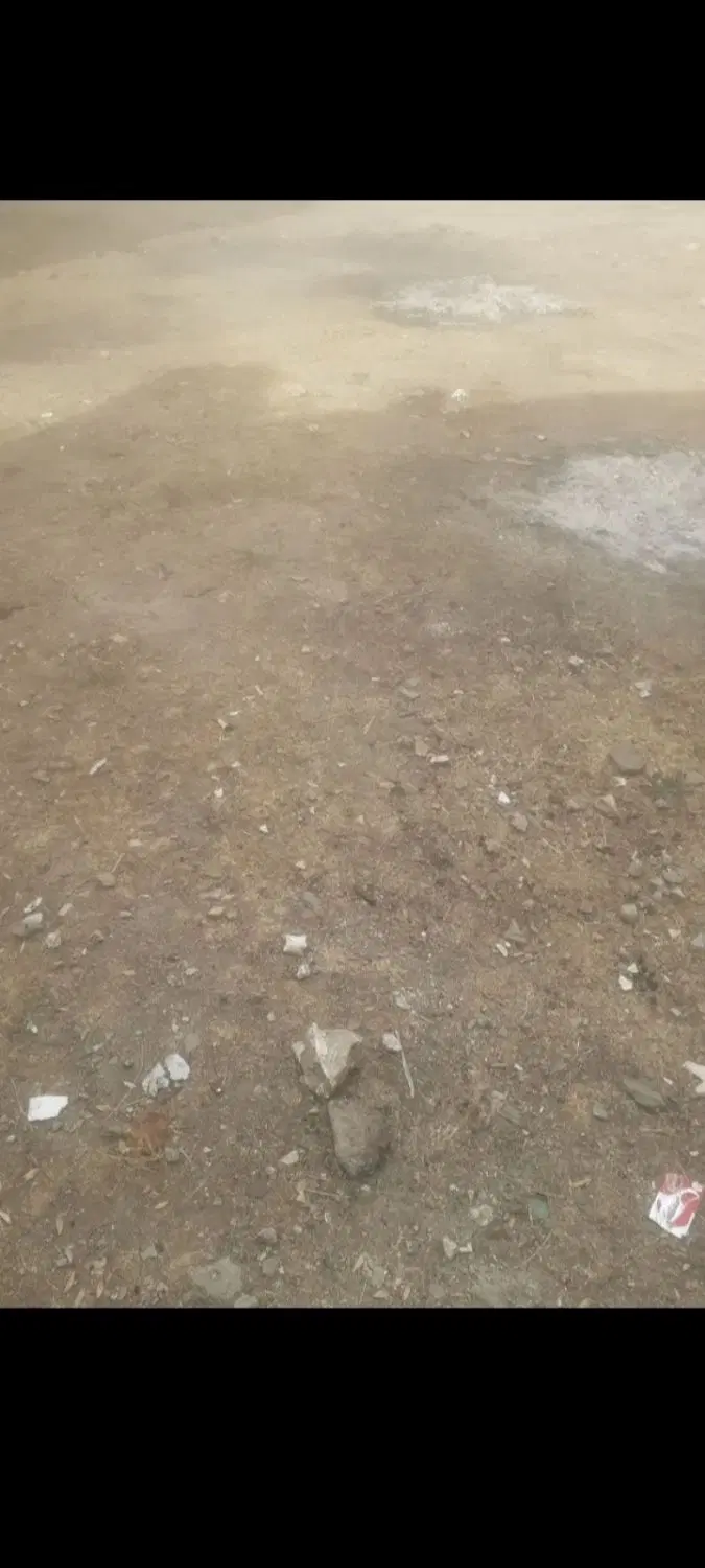 زمین باغی